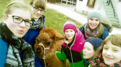 Reiterinnen mit Alpaka